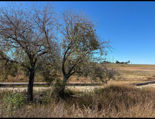 76,000M² VACANT LAND FOR SALE IN SALLIES VILLAGE